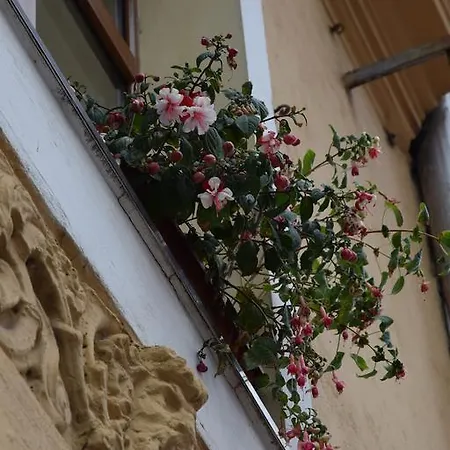 Casa Liszt
